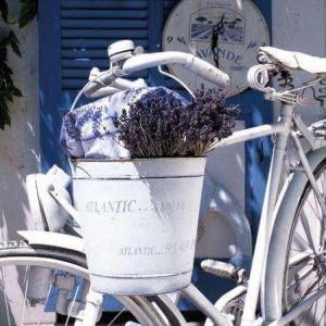 Summer lavender Προσφορά ΠΕΡΙΟΡΙΣΜΕΝΑ ΤΕΜΑΧΙΑ