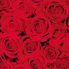 Red Roses