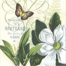 Magnolia fleurs Προσφορά-1,30€